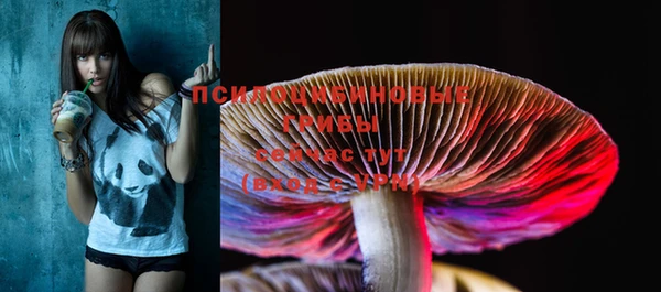 МДПВ Новокубанск