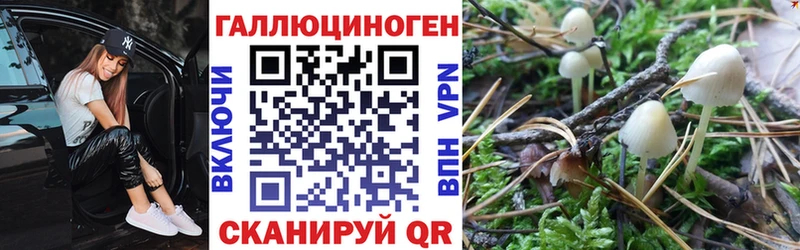 Купить  Энем  Галлюциногенные грибы мухоморы 